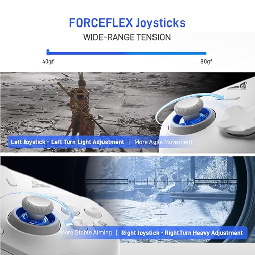 FLYDIGI Direwolf 4 PC Controller