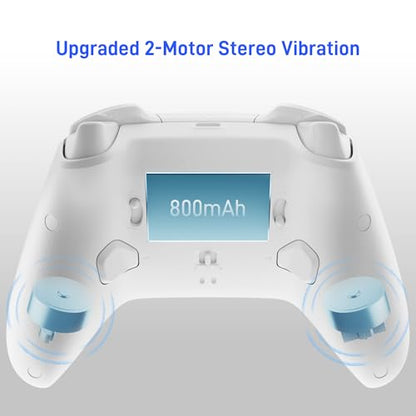 FLYDIGI Direwolf 4 PC Controller